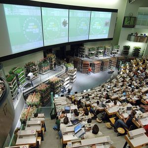 Die Zahl der physisch existenten Versteigerungstribünen wird durch den neuen Kurs reduziert.