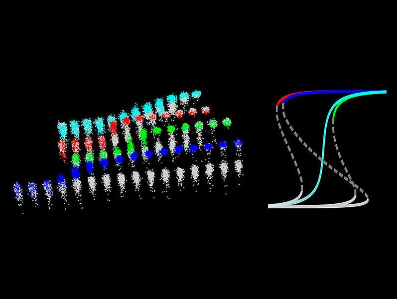 Zellen mit Proteinpaaren speichern langfristig Informationen (blau). Zellen mit nur einzelnen Proteinen speichern keine Informationen (rot und hellblau). (Universität Basel, Biozentrum)