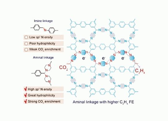 Spezielle Stickstoffgerüste können CO2 aktivieren, um die Basischemikalie Ethylen zu synthetisieren.(Bild:  Wiley-VCH, Angewandte Chemie, https://doi.org/10.1002/ange.202404738)