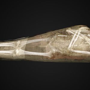 Das Innere enthüllt.