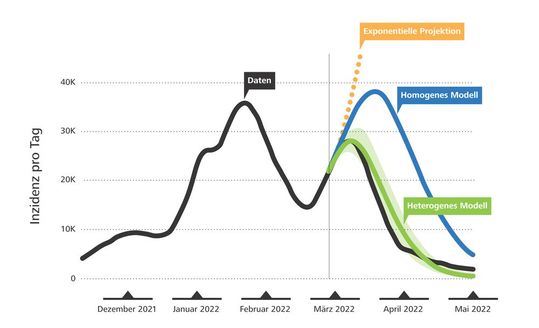 Die mittels einer „Reproduktionsmatrix“ berechnete Kurve (grün, heterogenes Modell) spiegelt die tatsächliche Infektionslage (schwarz, Daten) wesentlich genauer wider als bisherige Modelle (gelb und blau, exponentiell und homogen). (Bild:  Empa)