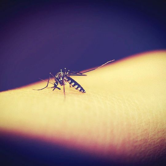 New findings confirm the potential of seasonal vaccination to provide a high level of protection in young children. New findings confirm the potential of seasonal vaccination to provide a high level of protection in young children.