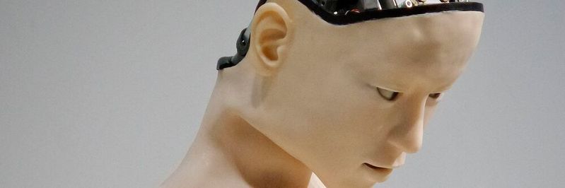 Der Einsatz von Künstlicher Intelligenz (KI) hat sich in Unternehmen in den vergangenen zwei Jahren nahezu verdoppelt.(Bild:  gemeinfrei / Unsplash)