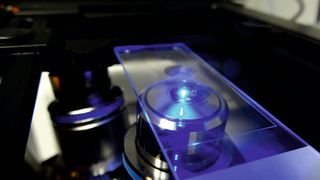 Abb.1: Biomedizinische Bildgebung ist nicht nur eine Frage von guten Mikroskopen, sondern auch von leistungsstarker Kameratechnik. (Bild: ©scyrus - stock.adobe.com)