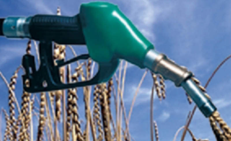 Da Biodiesel im Gegensatz zu herkömmlichem Dieseltreibstoff einem Alterungsprozess unterliegt, ist eine Überprüfung der Zusammensetzung vor der Verarbeitung unbedingt erforderlich. (Archiv: Vogel Business Media)