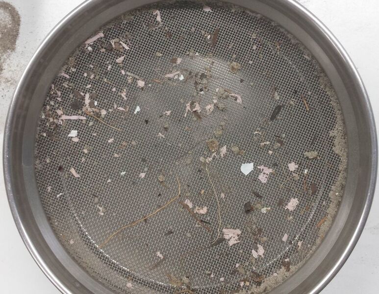 Large microplastic particles (1-5 mm), mineral particles and plant remains from a floodplain. (University of Basel)