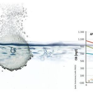 (©rufar; ©Manuel Schäfer - stock.adobe.com; [M]Tscherwitschke)