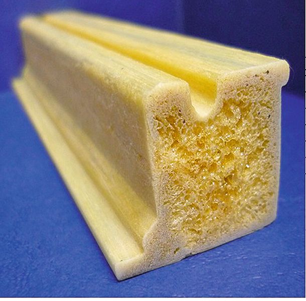 Auch Komplexes geht	 Statt einfacher Rechteckprofile können auch solche Querschnitte mittels Sandwichpultrusion entstehen (circa 30 mm × 30 mm). (Bild: IKV)