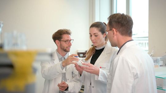 Die Empa-Forscher Kevin DeFrance (links) und Gustav Nyström (rechts) entwickelten gemeinsam mit Corina Milz von Lidl Schweiz die nachhaltige Cellulose-Schutzschicht für Früchte und Gemüse.(Bild:  Empa / Lidl Schweiz)