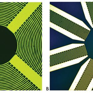 Harmonische Schwingungen der Oberfläche von Interdigitalwandlern erzeugen akustische Oberflächenwellen (SAWs). Indem die Orientierung über die Oberfläche variiert wird (1B) können die Resonanzfrequenz und die akustische Strömungsreaktion bestimmt werden.