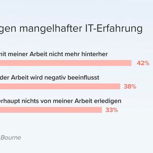 (Bild:  Vanson Bourne)