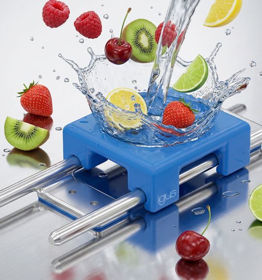 Für eine schnelle Reinigung hat der Hersteller eine Hygienic-Design-Linearführung mit einem FDA-konformen und schmierfreien Linearschlitten entwickelt. Das System wurde von der EHEDG zertifiziert. (Bild:  Igus)