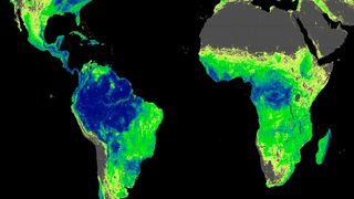 Gesamte verfügbare Fläche, auf der Bäume wachsen könnten (aktueller Waldbestand und für Wiederaufforstung geeignete Fläche). Geoengineering – Technologien, um Treibhausgase aus der Atmosphäre zu entfernen – könnten einen sinnvollen Ansatz für die Strategien gegen den fortschreitenden Klimawandel bieten (Bild: Crowther Lab / ETH Zürich)