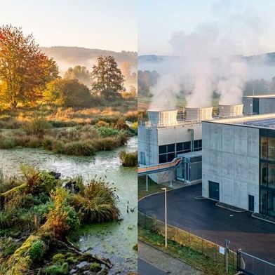 Gemeinsam für die Wasserversorgung: Im hessischen Vogelsberg realisieren Amazon und Microsoft gemeinsam mit dem NABU ein Projekt zur Sicherung des Trinkwassers. Auf 40 Hektar sollen dafür Feuchtgebiete renaturiert werden. (Bild: Gemini / KI-generiert)