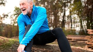 „Nimmt die Funktion der Muskelstammzellen ab, verschlechtert sich die Regenerationsfähigkeit des gesamten Muskels – dies kann im Alter zur Verminderung der Muskelkraft nach einer Verletzung beitragen“, erklärt Dr. Julia von Maltzahn vom FLI (© Halfpoint - Fotolia.com)