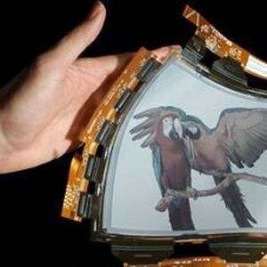 Flexibles Farbdisplay von Plastic Logic.