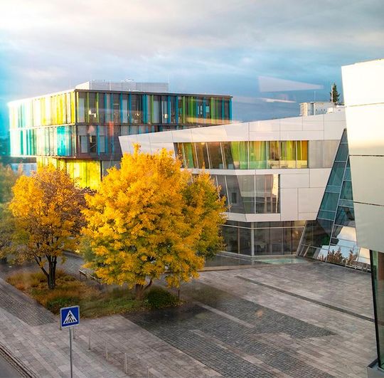 Die Haba Familygroup verkauft den Produktionsstandort Lutherstadt Eisleben, wie jetzt bekannt wurde. Die Trennung erfolgt zum 1. Januar 2024. Die meisten Mitarbeiter würden vom Käufer, der Mansfeld Anlagenbau und Umwelttechnik AG, übernommen.(Bild:  Haba Familygroup)