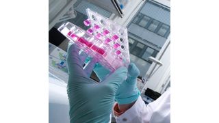 Testng new drugs at roches laboratories (Picture: Roche)