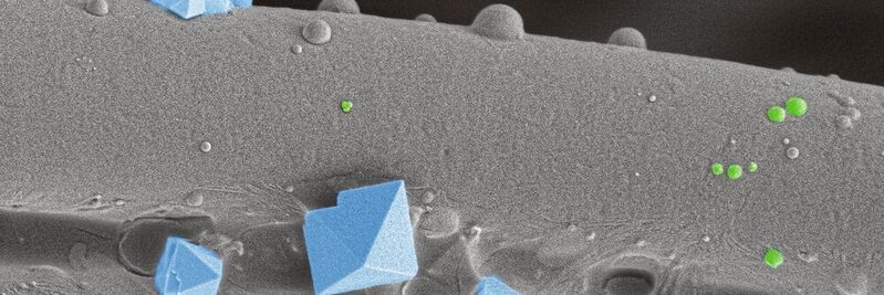 Nur wenige Viren schaffen es bis zur innersten Schicht einer Stoffmaske. Im Bild eine Textilfaser mit Salzkristallen (hellblau) und rund 100 Nanometer-grosse Viren (grün). (Rasterelektronenmikroskopie, nachkoloriert) 