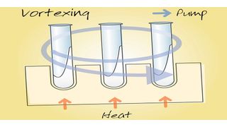 Abb.3: Funktionsweise der Vortex-Verdampfung (Bild: Genevac)