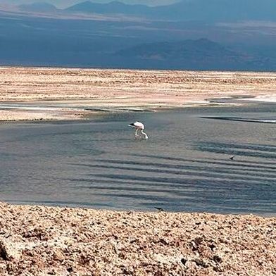 Die Gewinnung von Lithium führt zu erheblichen Wasserverlusten und schadet der Umwelt. Dem will PaNaBat entgegenwirken. (Bild: Matías Hernández Farias)
