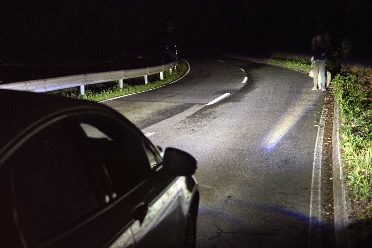 Die Spotlicht-Technologie soll zeitgleich bis zu acht Menschen oder größere Tiere in einer Entfernung von bis zu 120 Metern auf oder direkt neben der Fahrbahn erkennen. (Foto: Ford)