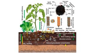 Harnessing biochar for nitrate removal from contaminated soil and water environments: Economic implications, practical feasibility, and future perspectives.
 (Source: Rakesh Kumar, Atiqur Rahman, Jasmeet Lamba, Sushil Adhikari & Henry Allen Torbert)