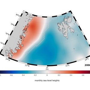 Das Meer östlich von Grönland ist das ganze Jahr von Eis bedeckt (die weiße Linie zeigt die Grenze des Meereises). Das Wasser darunter unterliegt einer jahreszeitlichen Dynamik und wird beeinflusst durch die Strömungen im atlantischen Ozean.