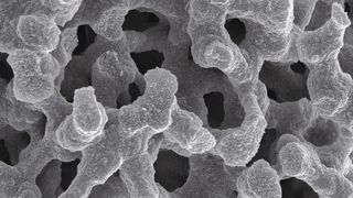 Abb. 1: Rasterelektroenmikroskopische Aufnahme der Struktur von Chromolith. Gut sichtbar sind in grau das mesoporöse Silicaskelett und makroporöse Transportporen. (Bild: Merck)