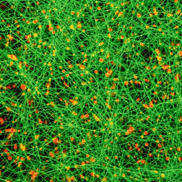 Damit Textilien nachhaltig Duft verströmen, können Essenzen in winzige Kapseln (orange) verpackt werden, die beim Elektrospinnen zu Perlenketten-artigen Fasern (grün) aufgereiht werden. (Bild: Empa)