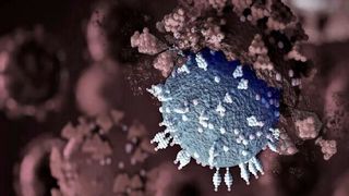 Das Covid-19-Virus kann Erkrankte auch zu Long-Covid-Patienten werden lassen. Das hat Auswirkungen auf die Fehlzeiten im Betrieb. Doch wie viele sind wirklich davon betroffen? Hier ein Lagebericht. (Bild: K. Lindensam)