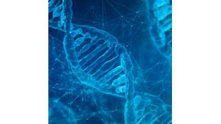 This engineered AsCas12f has already been successfully tested in mice and has the potential to be used for new, more effective treatments for patients in the future. (Source: Pixabay)