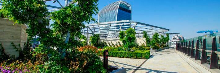 Urban greening projects, like rooftop gardens, have a variety of benefits to wellbeing and the environment.