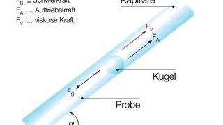 Abb. 1: Messprinzip des Kugelfallviskosimeters AMVn  (Bild: Anton Paar)