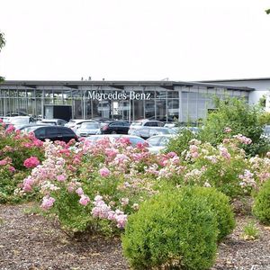 (Rosenow/»kfz-betrieb«)