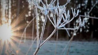 Zwar war der Sommer in Deutschland von viel Sonnenschein geprägt, doch die Produktion vieler Unternehmen war eher unterkühlt, teilen Analysten jetzt mit. Hier mehr dazu. (Bild: P. Südermann)
