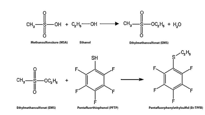 Abb. 2: A: In Gegenwart niedermolekularer Alkohole können unter ungünstigen Bedingungen aus Sulfonsäuren Alkylsulfonate entstehen. B: Derivatsierung von EMS mittels PFTP.  (Bild: Gerstel)