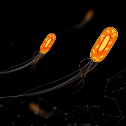 By using AI, researchers can extract information from filmed sequences of cell movement in the microscope. By using AI, researchers can extract information from filmed sequences of cell movement in the microscope.