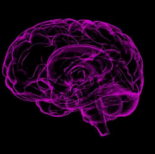 The findings suggest the use of gene therapies for those with brain disorders like Hurler syndrome. The findings suggest the use of gene therapies for those with brain disorders like Hurler syndrome.