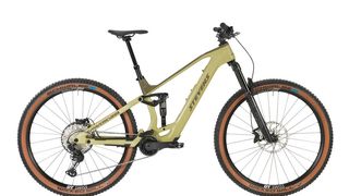 Der TQ-Antrieb wurde unscheinbar in die Rahmengeometrie integriert. (Bild: Stevens)