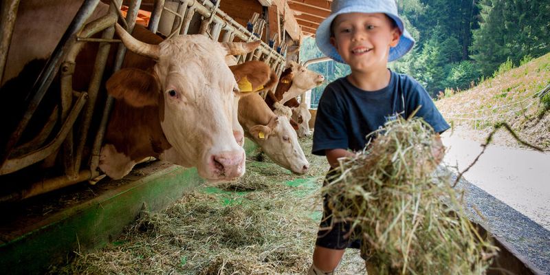 Der Bauernhof-Effekt: Mädchen und Jungen, die auf Bauernhöfen aufgewachsen und einer großen Vielfalt von Mikroben ausgesetzt sind, haben deutlich seltener Allergien und Asthma. (Symbolbild)(Bild: ©  stefano - stock.adobe.com)