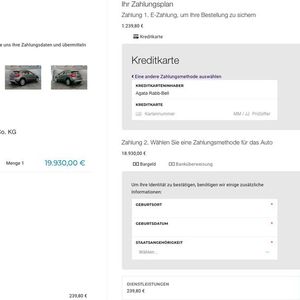 Die Torpedo-Gruppe arbeitet an der Plattform seit einigen Jahren gemeinsam mit einem lokalen Start-up. Der erste Schritt in das Feld des E-Commerce war die Fahrzeugvermietung. Jetzt kann die Gruppe über ihre Website Autos auch verkaufen.(Bild:  Torpedo-Gruppe)