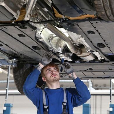 Mit dem Anstieg aus dem Vorjahr nähert sich die Statistik wieder dem Durchschnittswert der vergangenen Jahre an. (Bild: SP-X)