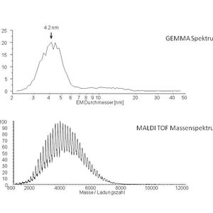 Abb. 2: GEMMA-Spektrum (oben) und MALDI-Massenspektrum (negativer, linearer Modus; unten) einer dervatisierten Dextranmischung isoliert aus Leuconostoc mesenreroides. 