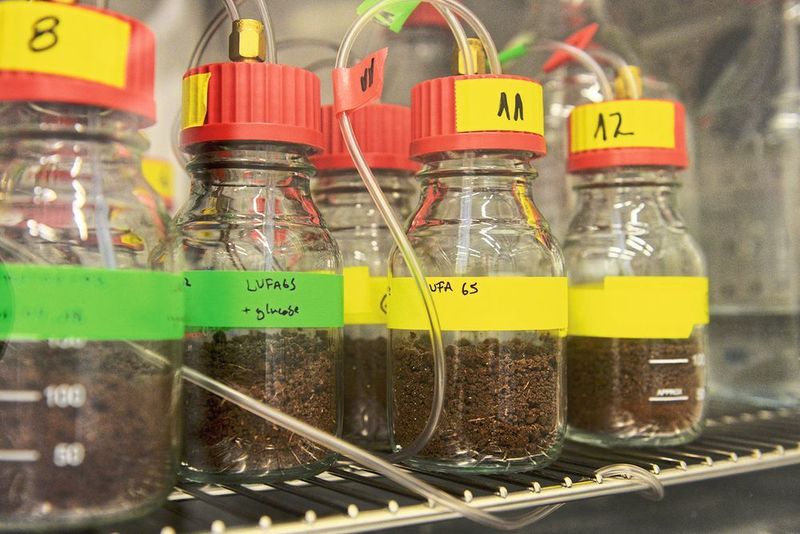 Das Erdmaterial mit Folienstücken wird im Klimaschrank inkubiert. Mikroorganismen, welche die Folie abbauen, geben CO2 ab, das kontinuierlich analysiert wird. (ETH Zürich)