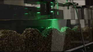 Mithilfe der Fließrinne (Flume) haben Forschende natürliche Flussbedingungen simuliert und so das Verhalten von verschiedenförmigen Mikroplastikteilchen studiert.  (Bild: UBT)