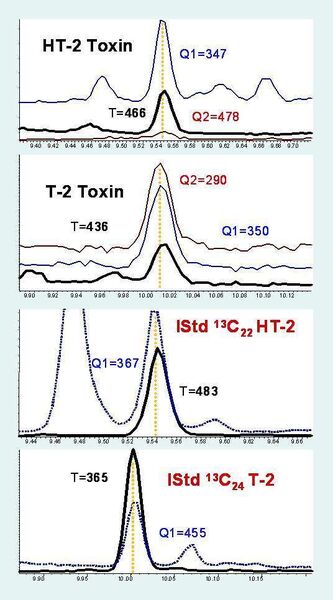 4		SIM-Chromatogramme (T = Target; Q = Qualifier) der Zielanalyten und voll 13C-markierten internen Standards in einer gering belasteten Gerstenprobe (HT-2 Toxin: 5,3 µg/kg; T-2 Toxin: 2,4 µg/kg). (Archiv: Vogel Business Media)