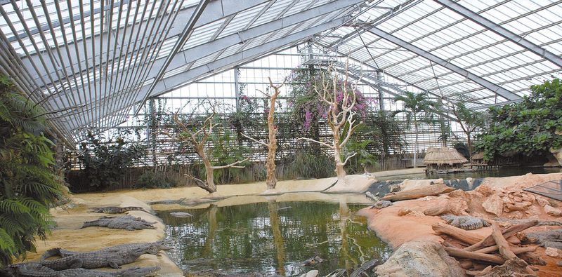 Das Haupttreibhaus der Krokodilfarm. (Crouzet)
