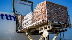 Durch die Möglichkeit der zeitlich verzögerten Gestellung kann Lufthansa Cargo die Fracht deutlich früher an die Spedition herausgeben. (Bild: Lufthansa Cargo)