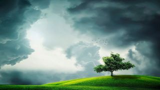 Dunkle Wolken: Während nach wie vor erstaunlich viele Menschen an der menschengemachten globalen Klimakrise zweifeln, drängen immer mehr Industrievertreter zum raschen und massiven Handeln. (gemeinfrei)